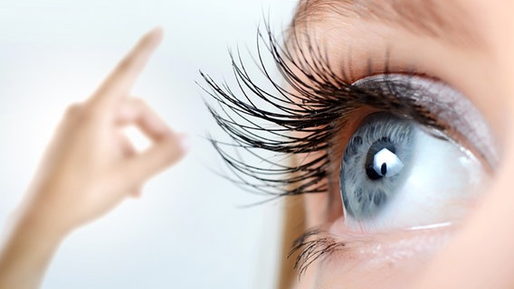 Terapia EMDR, EMDR online, psicólogo Vallès Occidental, psicólogo en Ripollet, terapia trauma, desensibilización por movimientos oculares, Francine Shapiro, psicoterapia online, tratamiento para ansiedad y trauma, terapia EMDR para traumas infantiles, psicoterapia eficaz para estrés postraumático, psicólogos especializados en EMDR en Vallès Occidental, terapia online segura y eficaz, superar experiencias traumáticas con EMDR, EMDR para fobias y bloqueos emocionales, terapia presencial en Sabadell, terapia en Terrassa, psicólogo en Rubí, terapia en Sant Cugat del Vallès, consulta psicológica en Cerdanyola del Vallès, terapia en Barberà del Vallès, terapia EMDR en Montcada i Reixac, psicólogo en Sant Quirze del Vallès, tratamiento del trauma en Badia del Vallès, terapia en Castellar del Vallès, consulta psicológica en Santa Perpètua de Mogoda, terapia para ansiedad en Ripollet, psicólogo online desde Ripollet, tratamiento EMDR en el Vallès, sesiones EMDR desde casa, psicoterapia para duelo en el Vallès Occidental, EMDR para adultos y adolescentes, terapia para pesadillas recurrentes, psicólogo especializado en traumas infantiles en el Vallès, psicoterapia en catalán y castellano, sesiones EMDR personalizadas, terapia psicológica cercana en Ripollet, EMDR para trastornos de ansiedad en Sabadell, psicología online en el Vallès Occidental, atención psicológica en línea desde cualquier lugar, consulta de psicología en el área metropolitana de Barcelona, tratamiento de estrés postraumático en el Vallès