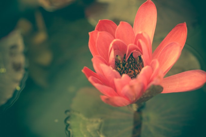 psicología en Ripollet, psicólogo en Ripollet, terapia de pareja en Ripollet, psicoterapia en Ripollet, psicólogo adultos Ripollet, ansiedad Ripollet, terapia individual Ripollet, consulta psicológica Ripollet, terapia emocional Ripollet, psicología en Montcada, psicólogo Montcada i Reixac, terapia de pareja Montcada, psicoterapia Montcada, salud mental Montcada, psicología adultos Montcada, terapia en Montcada, psicólogo en Cerdanyola, psicología en Cerdanyola del Vallès, psicoterapia Cerdanyola, terapia de pareja Cerdanyola, psicólogo adultos Cerdanyola, psicología en Mollet, psicólogo Mollet del Vallès, terapia en Mollet, ansiedad en Mollet, terapia de pareja Mollet, psicología adultos Mollet, psicólogo en Barcelona online, terapia psicológica online Barcelona, psicología online adultos, terapia de pareja online Barcelona, psicología en línea, terapia emocional online, psicología online para ansiedad, consulta psicológica online, psicoterapia online adultos, psicólogo ansiedad Barcelona, psicoterapia adultos Barcelona, salud emocional Barcelona, crecimiento personal Ripollet, relaciones sanas Cerdanyola, terapia emocional Mollet, mejorar autoestima online, acompañamiento psicológico, vínculos conscientes, gestión emocional en pareja, consulta de psicología en Ripollet, psicólogo emocional Montcada, psicóloga adultos online, problemas de pareja online, relaciones tóxicas ayuda, superar rupturas pareja, psicología para mujeres, autoconocimiento terapia, acompañamiento emocional online, terapia online en Ripollet, psicóloga en Cerdanyola y Ripollet, psicoterapia de calidad online, terapia integradora online, psicoterapia emocional, psicólogo especializado en vínculos, psicología relacional, psicoterapia humanista, terapia basada en el respeto, terapia online cercana, psicóloga en Vallès Occidental, terapia de pareja respetuosa, apoyo psicológico online, ansiedad en mujeres, terapia de pareja consciente, psicología Ripollet adultos, atención emocional online, terapia con perspectiva de género, terapia individual consciente, psicoterapia respetuosa en pareja, ayuda emocional en Cerdanyola, orientación psicológica online, psicología en Vallès, terapia personalizada adultos, terapia de pareja con diálogo, vínculo saludable terapia, autoconocimiento psicológico, terapia online desde casa, apoyo terapéutico online, procesos de cambio emocional, trabajo personal con psicóloga, consulta online emocional, terapia para vínculos sanos, #PsicologíaRipollet, #TerapiaOnlineBarcelona, #PsicólogaCerdanyola, #TerapiaDePareja, #PsicoterapiaMontcada, #PsicologíaAdultos, #SaludEmocional, #TerapiaMollet, #PsicologíaConsciente, #VínculosSanos