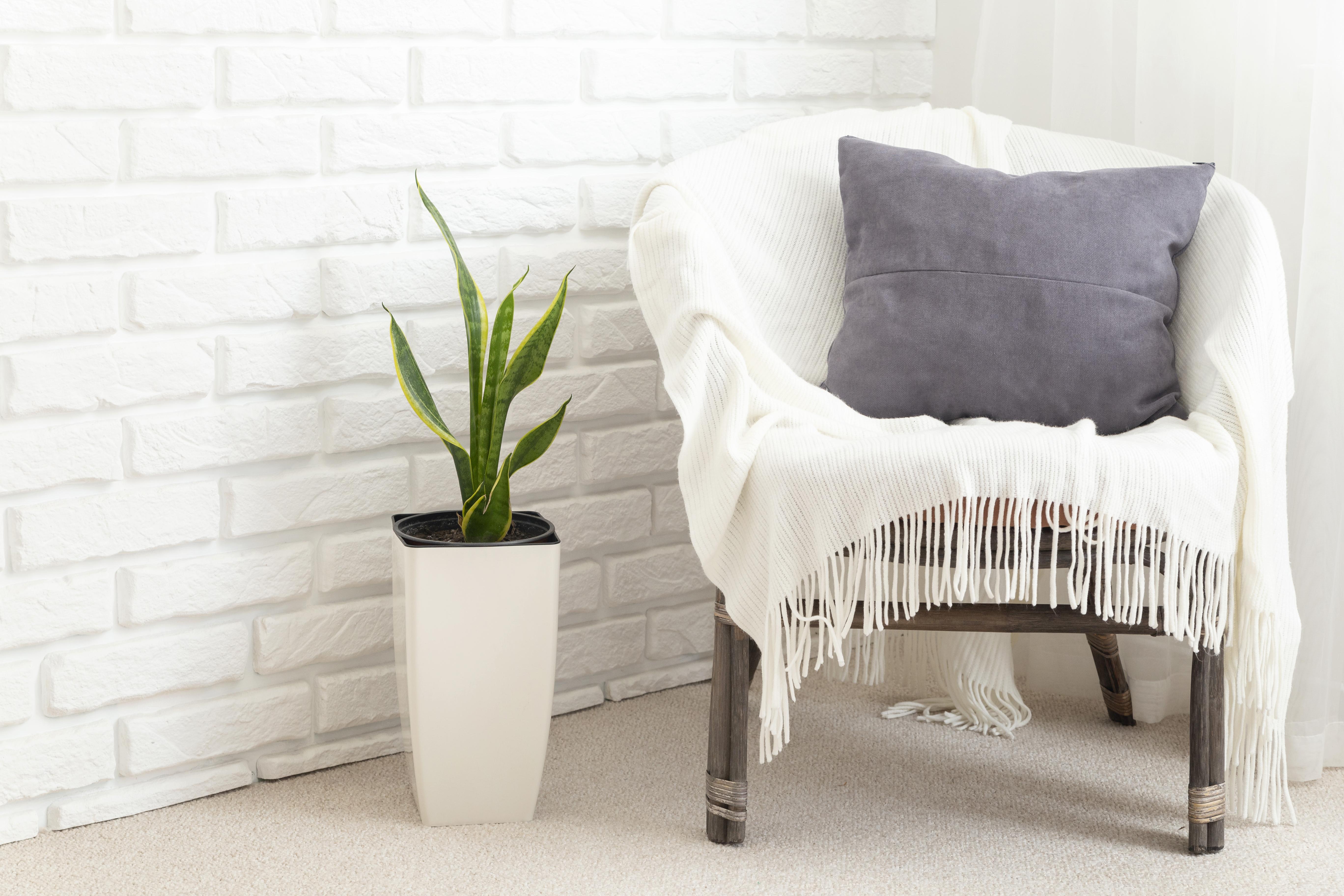 psicología Ripollet, psicólogo Ripollet, centro psicológico Ripollet, terapia Ripollet, psicoterapia Ripollet, psicología Cerdanyola, psicólogo Cerdanyola, terapia Cerdanyola, psicólogo Montcada, psicología Montcada, psicología Barcelona online, terapia online Barcelona, psicoterapia online, salud mental Ripollet, salud mental Cerdanyola, salud mental Montcada, salud mental Barcelona, ansiedad Ripollet, depresión Cerdanyola, estrés Barcelona online, terapia de pareja Ripollet, terapia familiar Cerdanyola, psicólogo infantil Ripollet, psicólogo adolescentes Cerdanyola, psicología para adultos, consulta psicológica Ripollet, psicología cercana Barcelona, psicólogos en el Vallès, psicólogos online en catalán, psicólogo en castellano online, psicoterapia personalizada, centro de psicología integral, atención psicológica Barcelona, psicología emocional, terapia cognitivo conductual, atención psicológica online, psicólogo por videollamada, psicología profesional Ripollet, bienestar emocional, psicólogo colegiado Barcelona, ayuda psicológica, centro de terapia Cerdanyola, tratamiento ansiedad Montcada, terapia para el estrés, acompañamiento psicológico, psicología desde casa, psicólogos en línea Barcelona, consulta de psicología Montcada, #psicologíaRipollet, #psicologíaCerdanyola, #psicologíaBarcelonaOnline, #psicologíaMontcada, #terapiaOnlineBarcelona