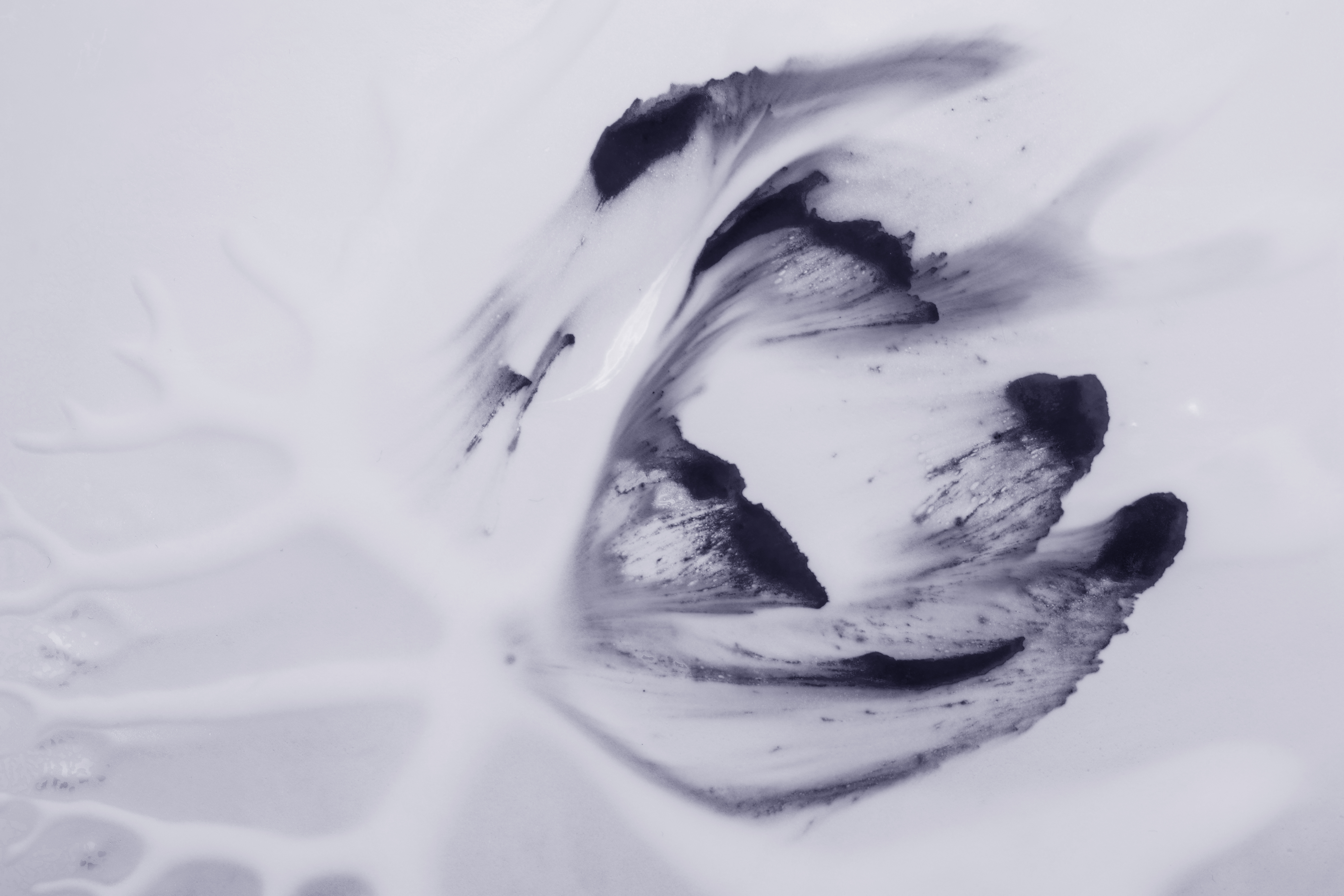 Mandala psicología transpersonal online, Mandala psicología transpersonal presencial Ripollet, Mandala psicólogo transpersonal online, Mandala psicólogo transpersonal Ripollet, Mandala terapia transpersonal online, Mandala terapia transpersonal presencial Ripollet, Mandala sesiones de psicología transpersonal online, Mandala sesiones de psicología transpersonal Ripollet, Mandala psicoterapia transpersonal online, Mandala psicoterapia transpersonal presencial Ripollet, Mandala consulta de psicología transpersonal online, Mandala consulta de psicología transpersonal Ripollet, Mandala psicología transpersonal humanista online, Mandala psicología transpersonal humanista presencial Ripollet, Mandala psicología online y presencial Ripollet, Mandala psicoterapia transpersonal para crecimiento personal online, Mandala psicoterapia transpersonal Ripollet, Mandala psicología transpersonal integral online, Mandala psicología transpersonal integral Ripollet